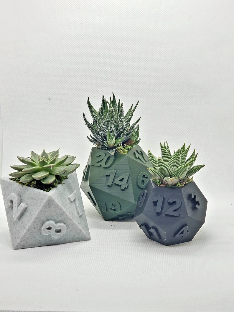 Table Top RPG Dice Succulent Planter Set 3D Printed 3D Printed Plant Pot 20 sided, 12 sided, 8 sided Dice Set image 1