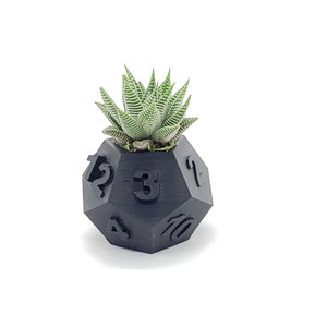 Table Top RPG Dice Succulent Planter Set 3D Printed 3D Printed Plant Pot 20 sided, 12 sided, 8 sided Dice Set image 2