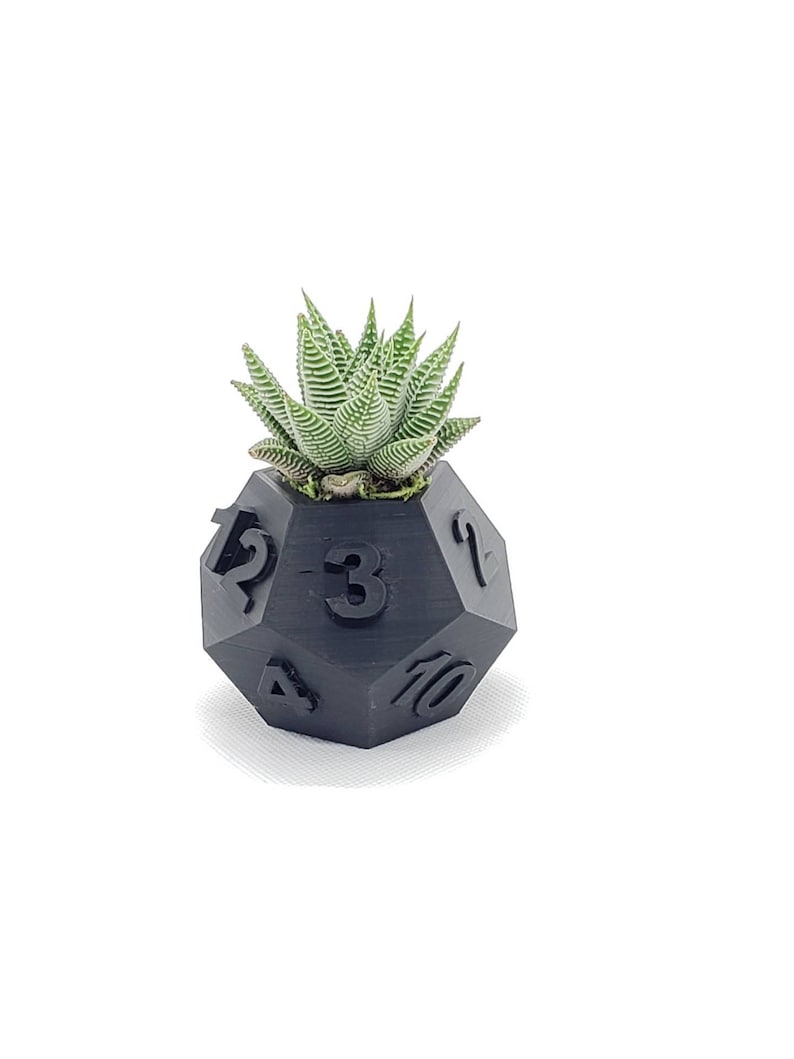 Table Top RPG Dice Succulent Planter Set 3D Printed 3D Printed Plant Pot 20 sided, 12 sided, 8 sided Dice Set image 2