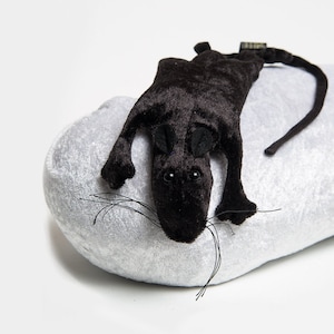 Ratzi, rat, rat, black