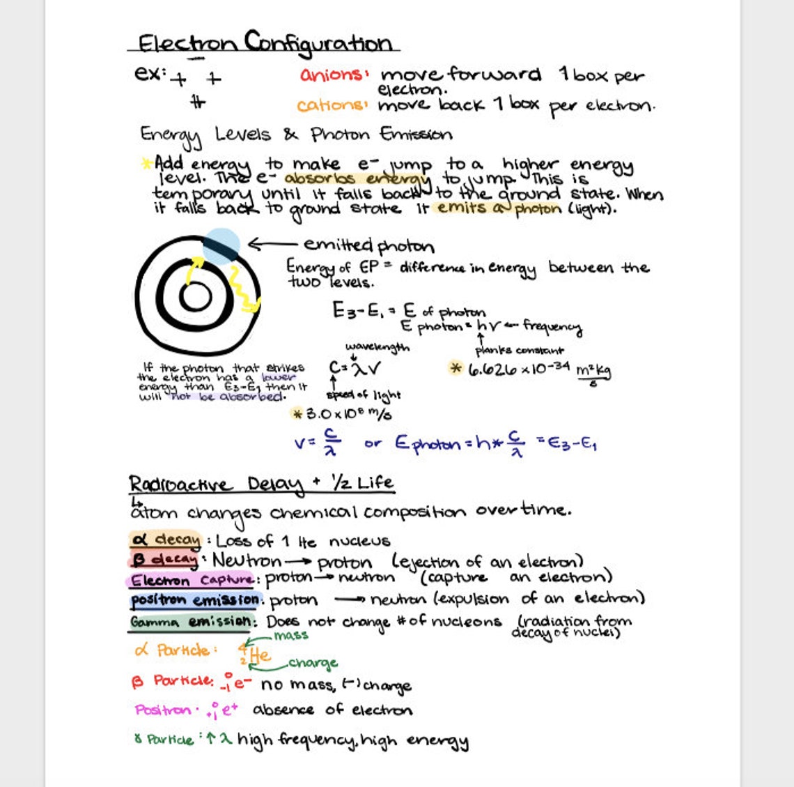 Complete Set of MCAT Notes pt 2 Etsy