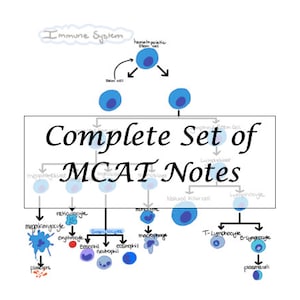 May include: A hand-drawn diagram illustrating the immune system, featuring the text "Complete Set of MCAT Notes." The diagram details cell types and their interactions, such as stem cells, lymphocytes, and granulocytes, using blue and black ink.