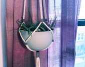 Beetlejuice Tasseled Hanging Planter