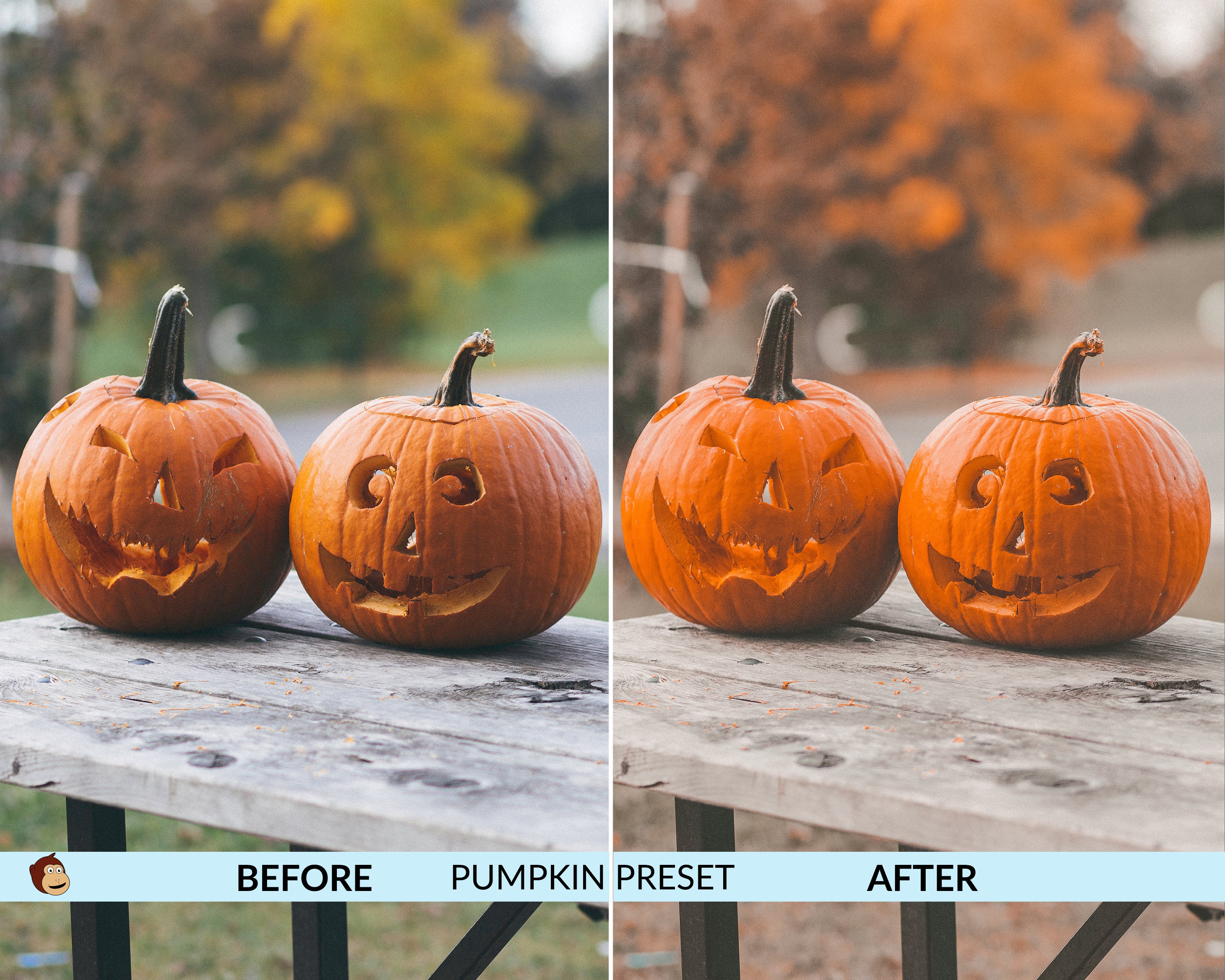 4 Halloween Lightroom Presets Lightroom Mobile Presets for | Etsy