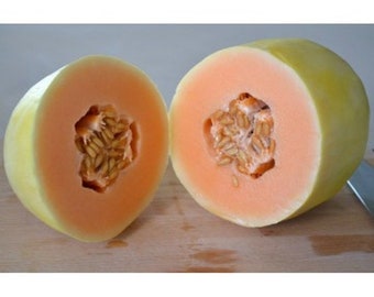 25 KOLKHOZNITSA MELON Collective Farm Woman Cucumis Melo Russian Fruit Seeds