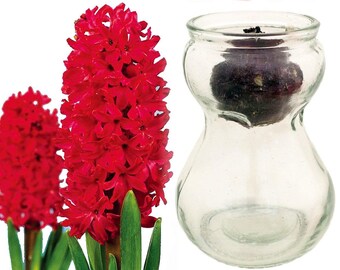 Bulb Vase Etsy