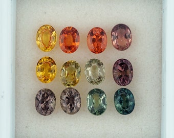 Lot De 5 Saphirs Naturels Multicolores De Tanzanie - 5x3 Mm, 1.27 Carats, Traitement Be - Neuf