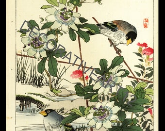 Finch passero Uccelli e fiori Stampa giapponese a blocchi di legno dall'album della prima edizione di Barei intorno al 1883