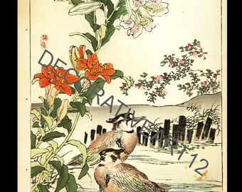 Vibrante xilografia di anatre e fiori dall'album della prima edizione di Barei intorno al 1883