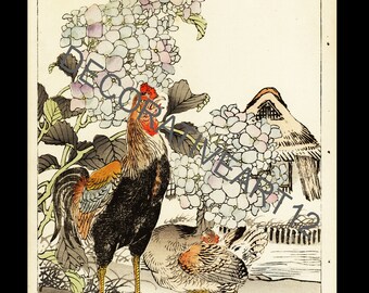 Galli Uccelli e fiori Stampa giapponese a blocchi di legno dall'album della prima edizione di Barei intorno al 1883