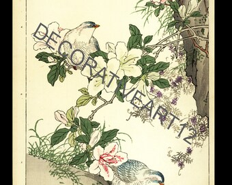 Splendida stampa xilografica di uccelli e fiori dall'album della prima edizione di Barei intorno al 1883