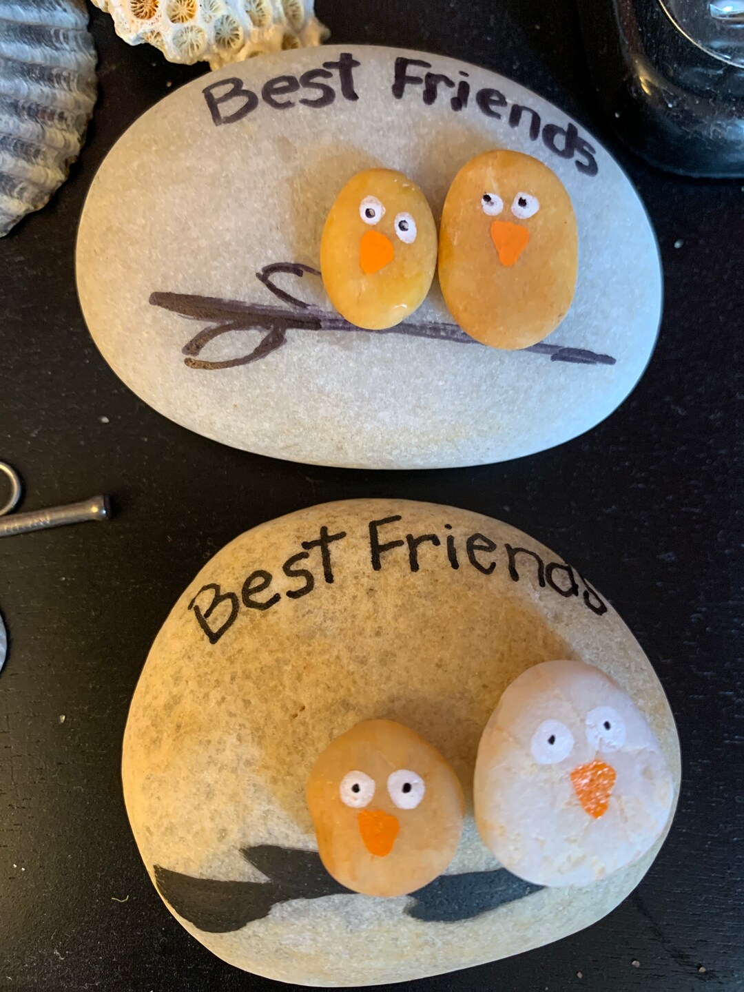 Best Friends! Love Birds?hand-picked Rocks From the Atlantic Ocean! - Etsy