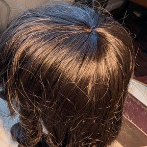 May include: A dark brown wig with a natural-looking hairline and wavy, curly ends. The wig appears to be made of synthetic fibers, with a slight sheen. The hair is styled with a center part and has a realistic appearance.