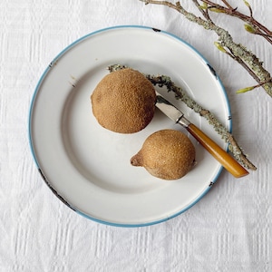 Swedish Vintage Enamel Lunch Plate – White with Turquoise Back – Rustic Scandinavian Kitchenware – 1930s–50s Shabby Chic Charm.