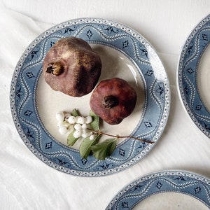 Puede incluir: Un juego de platos decorativos con un diseño floral azul y blanco en el borde. Dos granadas y una ramita de bayas blancas y hojas verdes descansan sobre los platos. Los platos están sobre una superficie blanca.