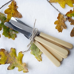 Vintage - Raadvad Dinner Knife with bone handles - Danish Stainless Steel Flatware