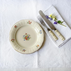 Vintage - Rörstrand Riviera Lunch Plates Set of Two: 1950s Swedish Floral Porcelain