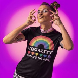 Equality Hurts No One T-Shirt - Gay Pride Gift