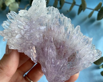 RARE Natural Amethyst Flower | 9.5cm Amethyst Cluster Flower | Cactus Growth Amethyst Raw