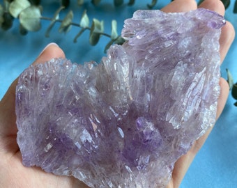 RARE Natural Amethyst Flower | 11.5cm Amethyst Cluster Flower | Cactus Growth Amethyst Raw