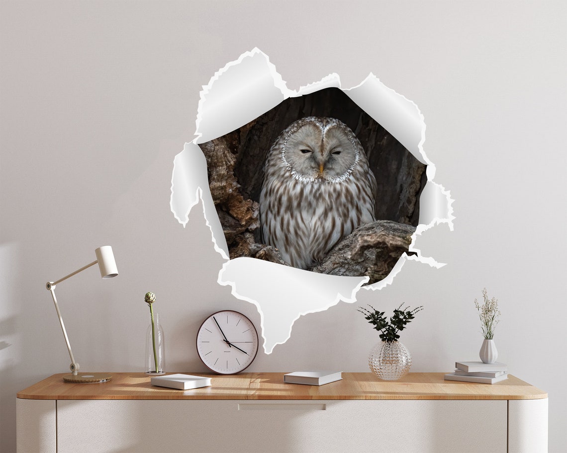 Owl wall decal hole in the wall decal bedroom decor owl Etsy