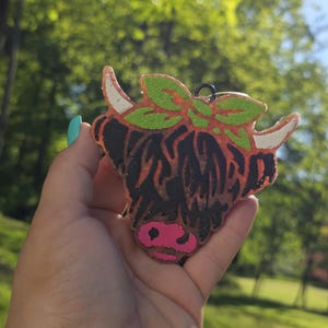 Vaca de las Tierras Altas Freshie