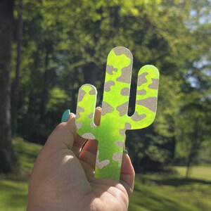 Cactus frais