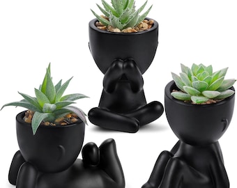 Fake Plants Artificial Succulent Plants set of 2