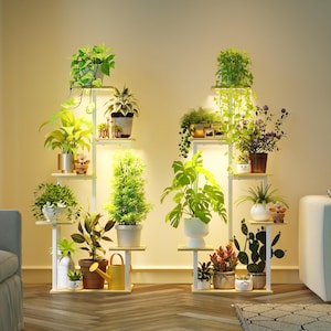 May include: Two white metal plant stands with multiple wooden shelves, each holding various potted plants. The plants include ferns, succulents, and flowering varieties. The stands are illuminated, creating a warm, inviting atmosphere.