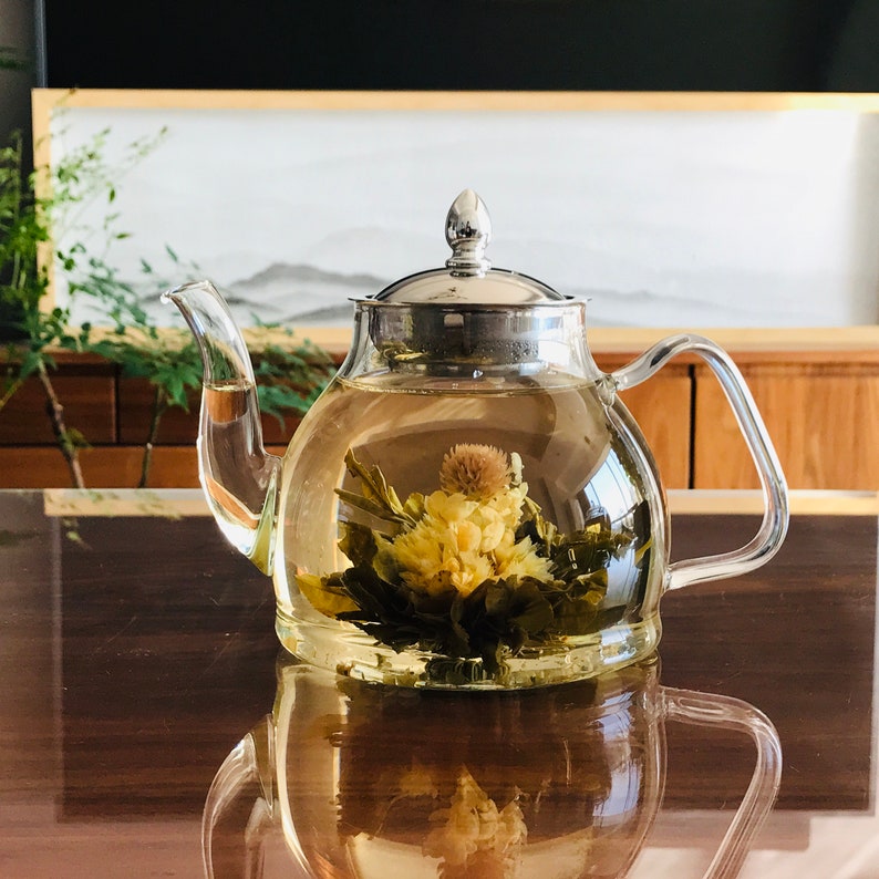 Stovetop Safe Glass Teapot With Removeable Infuser Etsy