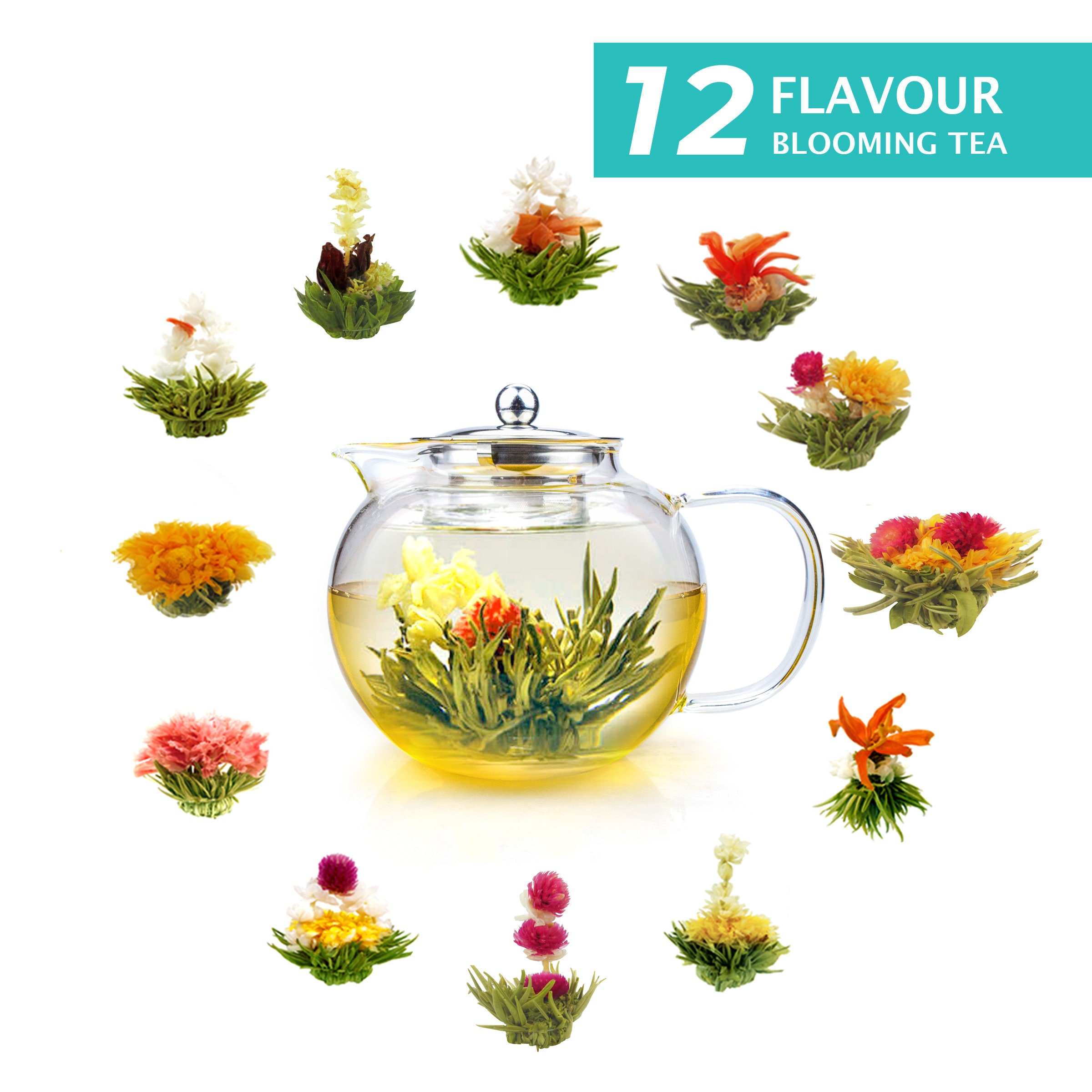 12pcs white blooming tea in gift tin 12types flowering teas Etsy