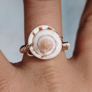 Puede incluir: Un anillo hecho a mano con dos conchas marinas blancas y beige. Las conchas están aseguradas con alambre de color dorado, formando una joya única y natural. El anillo se muestra en un dedo.