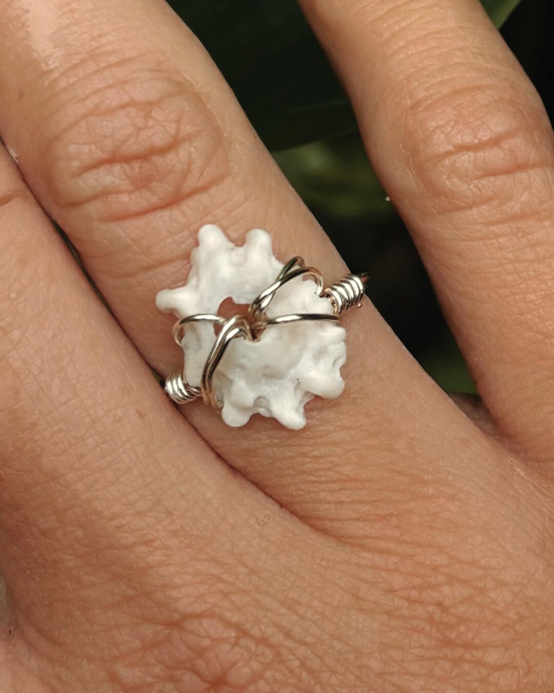 White Limpet Shell Ring - Etsy
