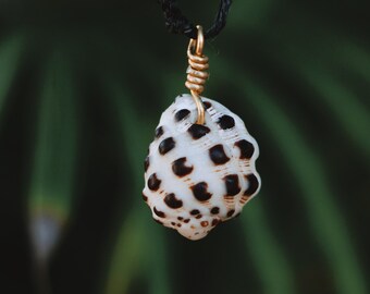 Drupe shell necklace