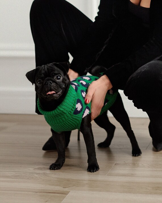 leopard dog sweater