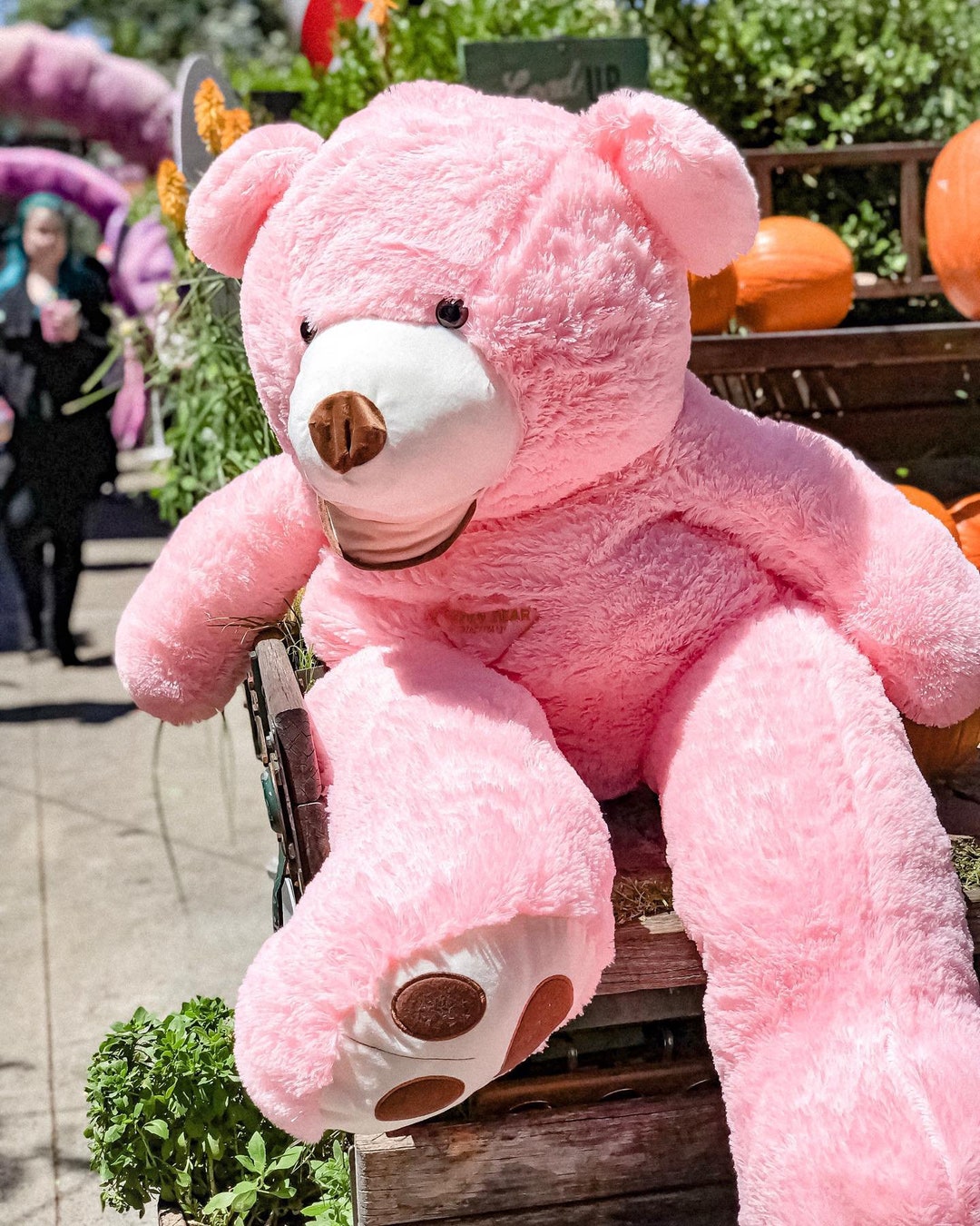 big teddy bear in pink colour
