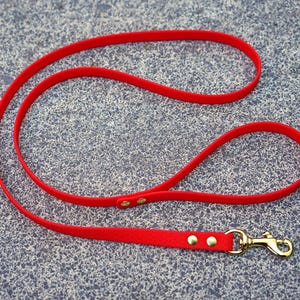 May include: A bright red dog lead featuring a smooth, flexible strap with a gold-toned metal swivel snap hook at one end. The lead includes two gold-toned rivets securing the handle loop and two additional rivets near the metal hardware.