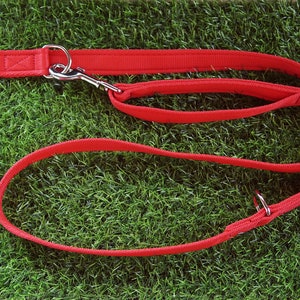 25mm Webbing Double Ended Training Lead - Short