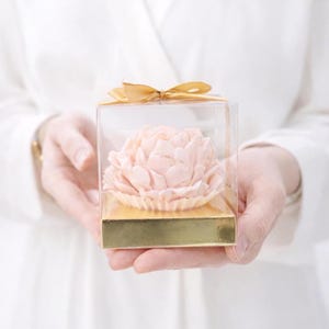 May include: A light pink peony flower in a clear square box with a gold base and a gold ribbon. The flower is the focal point, with detailed petals. The box is held by a person wearing a white garment.