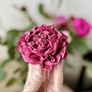 Op de afbeelding: Een close-up van een dieproze pioenroos met meerdere gekreukelde bloemblaadjes. De bloem wordt vastgehouden door een gehandschoende hand, met andere bloemen en groen in de achtergrond wazig. De pioenroos is het middelpunt.