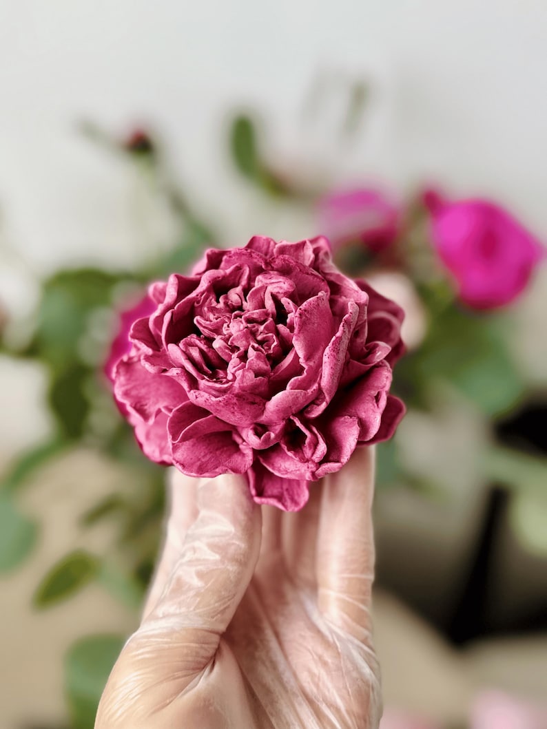 Op de afbeelding: Een close-up van een dieproze pioenroos met meerdere gekreukelde bloemblaadjes. De bloem wordt vastgehouden door een gehandschoende hand, met andere bloemen en groen in de achtergrond wazig. De pioenroos is het middelpunt.