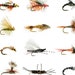 see more listings in the Fly Assortments section