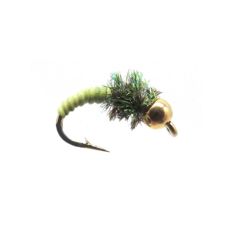 Caddis Larva Fly Pattern Bead Head Nymph Fly Hand Tied Etsy