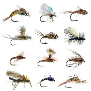 May include: A collection of twelve artificial fishing flies, each with a unique design. The flies feature various colors, including brown, black, white, and green, with intricate details. Each fly has a curved hook.