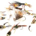 Colorado Fly Fishing Fly Assortment - Fly Fishing Colorado - Fishing Gift for Men - Best Colorado Flies - Fly Fishing Gift Assortment