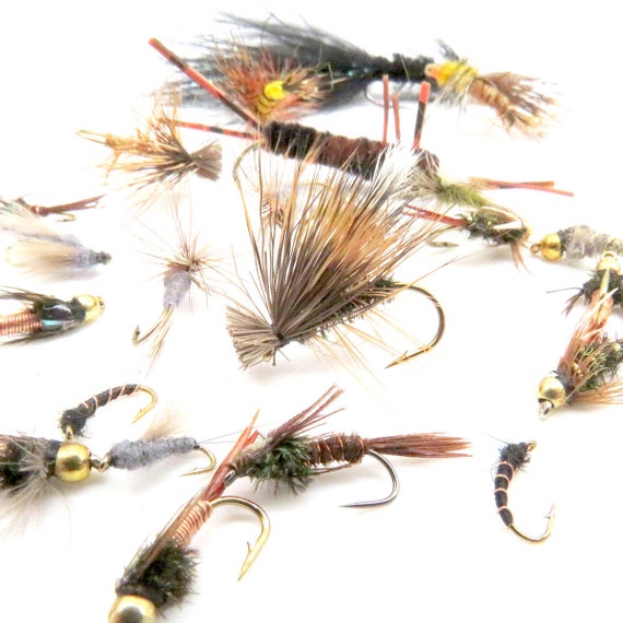 Colorado Fly Fishing Fly Assortment - Fly Fishing Colorado - Fathers Day  Fishing Gift for Men - Best Colorado Flies