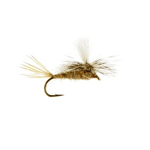 May include: A brown and white fly fishing lure with a white tail and a gold hook.