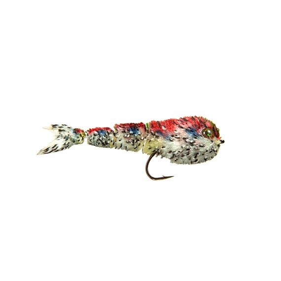 Streamers for Trout Game Changer Rainbow Premium Streamers for Fly
