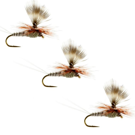Parachute Adams Fly: Biot Bodied Trout Lure, Hook Size 16 (3 Pack) - Etsy Denmark Parachute Adams Fly: Biot Bodied Trout Lure, Hook Size 16 (3 Pack) - Etsy Denmark