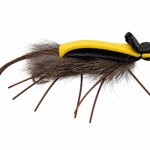May include: A fishing fly lure shaped like a mouse with a brown fur body, a long brown tail, and thin brown legs. The head and back feature black and bright yellow foam components, with small black foam ears positioned at the front of the lure.
